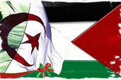 الجزائر تقدم 26.4 مليون دولار كمنحة لدولة فلسطين