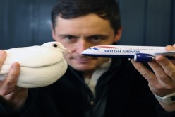 شعار حمامة على طائرات الخطوط الجوية البريطانية