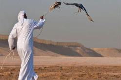 أنباء عن إعدام الصيادين القطريين في العراق ردا على إعدام نمر النمر