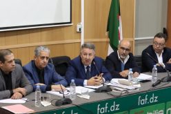 الفاف تحدد تواريخ إيداع الملفات للحصول على إجازة النادي المحترف