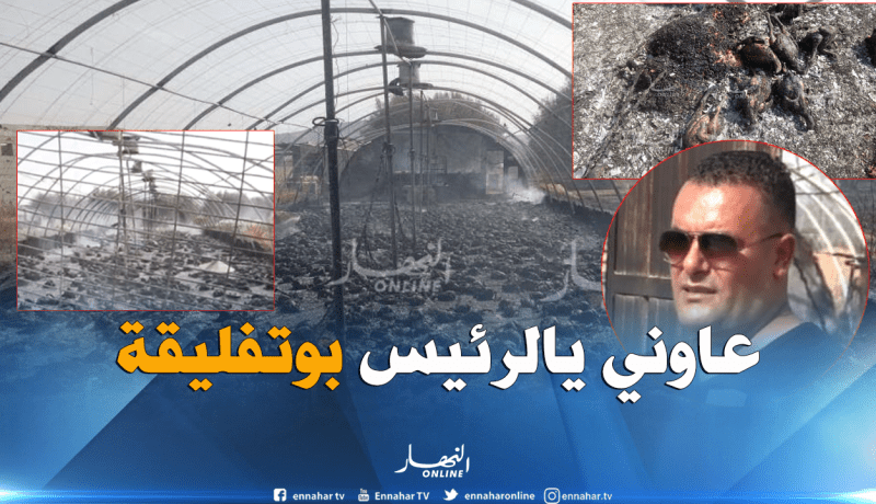 ديرولي حل.. لاخطرش واش صرا كارثة طبيعية