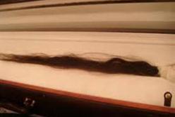 العثور على شعرة للرسول «محمد» صلى الله عليه و سلم في اليمن