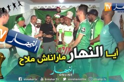 أنصار الخضر بالقاهرة يكرمون قناة النهار