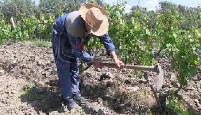 مجهولون يقتلون فلاحا خنقا داخل مزرعة في تلمسان