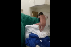 بالفيديو.. معجزة رضيعة تمشي على قدميها لحظات قليلة بعد ولادتها