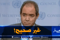 وزارة الخارجية: البرلمانية الفرنسية لم يتم اعتقالها كما روج له