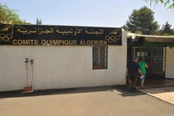 اللجنة الأولمبية الجزائرية تكشف موعد عقد الجمعية العامة الإنتخابية