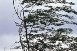 رياح قوية تجتاح كافة الولايات الساحلية يومي الجمعة و السبت