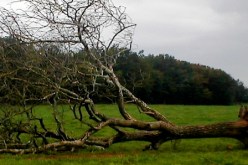 ترقب انخفاض قوة الرياح التي بلغت 100 كيلومترا في الساعة ظهيرة اليوم