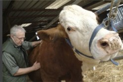 منع استيراد الأدوية ذات الاستعمال البيطري غير المسوقة مسبقا في البلد الأصلي