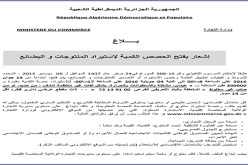 الحكومة ترخّص لاستيراد 300 ألف طن من حديد البناء