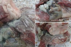 المصالح البيطرية تفتح تحقيقا حول تعفن لحوم أضاحي العيد