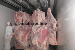 رسوم على اللحوم المستوردة لتمويل البلديات