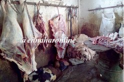 حجز قنطارين من لحوم الحمير و4 بغال داخل مذبح سري في ورشة لمساكن «عدل» !