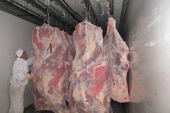 عامان حبسا لمحتالة أبرمت صفقات وهمية لتمــويــن الصينييـــن باللحـــوم