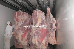 الجزائر تستورد 3 آلاف طن من لحوم الأبقار الفرنسية   