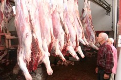 الجزائر تطلق مناقصة وطنية ودولية لاستيراد لحم الغنم المجمد