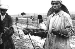 485 ضحايا خطي شال و موريس بالطارف ستغيثون