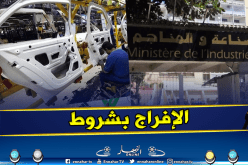 الإفراج عن أجزاء السيارات.. وزارة الصناعة والمناجم توضح