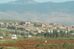 سنتان سجنا نافذا لرئيس المجلس الولائي السابق لمعسكر