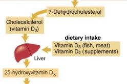 فيتامين “د” يساهم في تحسين الحالة المزاجية في الشتاء