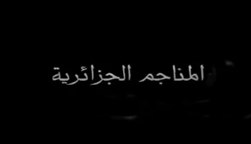 مجلس الوزراء يوافق على إنشاء مجموعة مناجم الجزائر