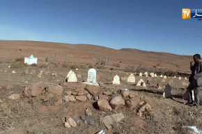 البيض: عديد المقابر عرضة للإهمال تتعرض لإعتداءات الحيوانات الضالة