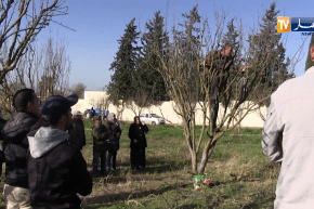 قالمة: خسائر سنوية يتكبدها الفلاحون لعدم التقيد بشروط الصيانة