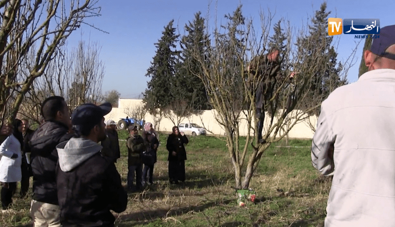 قالمة: خسائر سنوية يتكبدها الفلاحون لعدم التقيد بشروط الصيانة