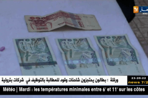 بشار: توقيف شخصين وحجز كمية 487 قرصا مهلوسا