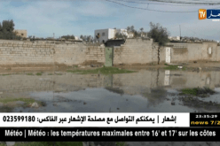 وهران: سكان المناطق المعزولة يعيشون ليلة بيضاء بسبب سيول الأمطار