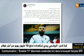 لاعب المنتخب الوطني لكرة اليد هشام داوود يتهم الإتحادية بسوء التسيير