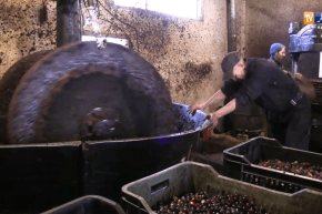 برج بوعريريج: المعاصر التقليدية تصمد أمام التطور التكنولوجي