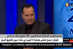 مغتربة مستفيدة من دعم أونساج.. الدولة قدمت تحفيزات وإعانات للشباب من أجل الإستثمار