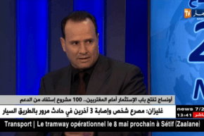 مغتربة مستفيدة من دعم أونساج.. الدولة قدمت تحفيزات وإعانات للشباب من أجل الإستثمار