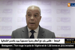 نجادي مقسم: وزارة التربية وضعت مخطط محكم لإستدراك الدروس…التفاصيل