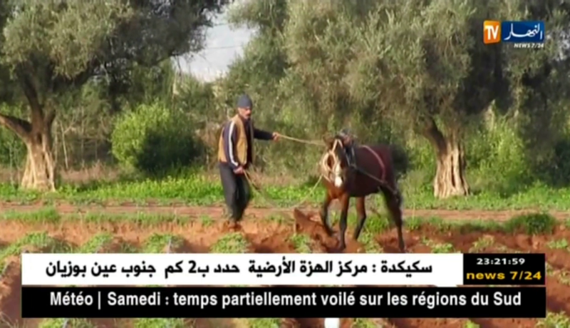 مستغانم: الحافر.. وسيلة تقليدية تستهوي الفلاحين في ظل تراجع اليد العاملة