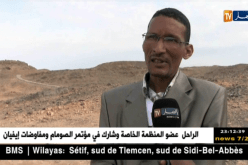 تمنراست: الملكة تينهنان أم التوارق.. القصة بين الحقيقة والخيال