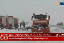المدية: تساقط كثيف للثلوج منذ ليلة أمس تسبب في شل حركة المرور