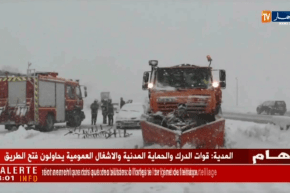 المدية: تساقط كثيف للثلوج منذ ليلة أمس تسبب في شل حركة المرور