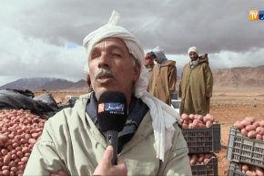 النعامة: عندما يتحدى فلاح الكثبان الرملية و يحولها إلى جنة خضراء بقرية الصم