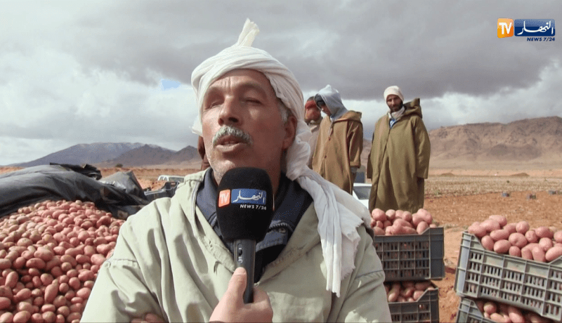 النعامة: عندما يتحدى فلاح الكثبان الرملية و يحولها إلى جنة خضراء بقرية الصم