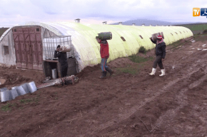 تلمسان: فلاحو المناطق الحدودية.. معاناة مضاعفة خلال فصل الشتاء لإنعدام المسالك