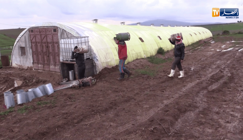 تلمسان: فلاحو المناطق الحدودية.. معاناة مضاعفة خلال فصل الشتاء لإنعدام المسالك