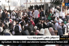 صحة: المحكمة الإدارية بالجزائر العاصمة تقر عدم شرعية إضراب نقابة ممثلي الصحة العمومية