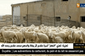 ام البواقي: ضعف المصادر المائية يرهن النشاط الفلاحي والرعوي بمشتة البارد