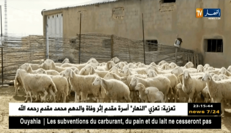 ام البواقي: ضعف المصادر المائية يرهن النشاط الفلاحي والرعوي بمشتة البارد