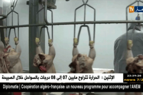 قالمة: إنتشار المذابح العشوائية و غياب الرقابة يزعج أصحاب المذابح القانونية