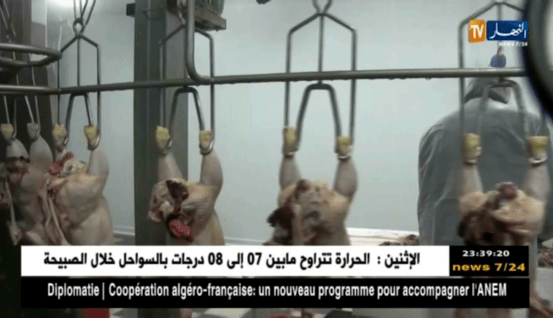 قالمة: إنتشار المذابح العشوائية و غياب الرقابة يزعج أصحاب المذابح القانونية