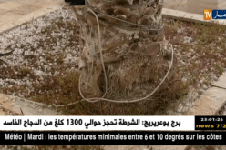 الوادي: تساقط كثيف لحبات البرد
